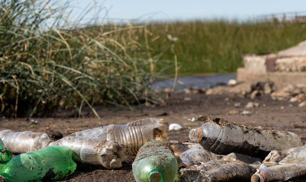 Problem nielegalnych wysypisk śmieci na obrzeżach miasta Żary