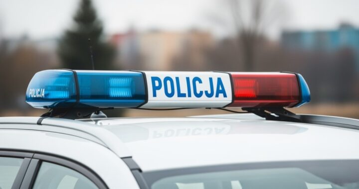 bezpiecze--stwo-w---arach--stra---miejska-kontrolu-auto-6584