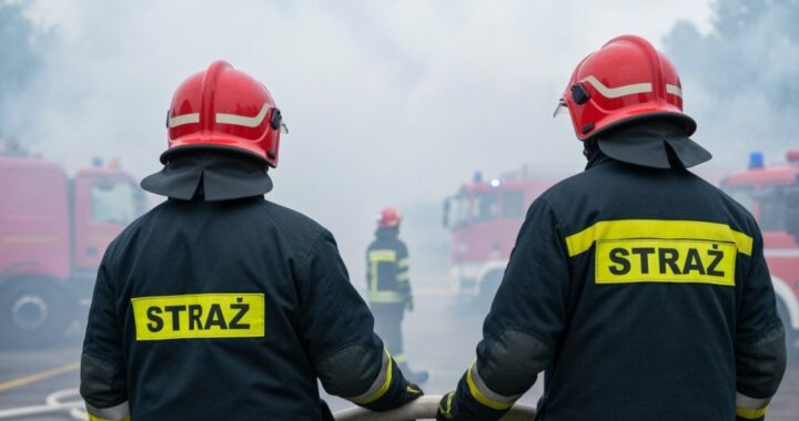 czadowa-stra----odbierz-czujnik-dymu-lub-czadu-w---auto-1297