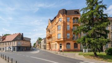 Nowe drzewa w Boruszynie i Lipinkach Łużyckich